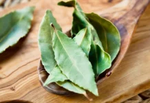 Waspadai Efek Samping Daun Salam