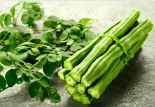 Manfaat Teh Daun Kelor: Seduhan Hijau Kaya Nutrisi Penjaga Imun