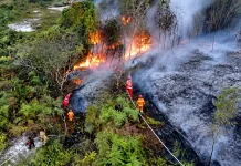 Karhutla di Kubar Tak Kunjung Mereda, 141 Kejadian dan 6.238 Hektare Terbakar