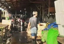Daya Beli Melemah, Pembudidaya Ikan di Kubar Kesulitan Pasarkan Hasil Panen