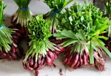 Awas, Ini Pantangan Minum Bawang Dayak yang Wajib Anda Tahu!
