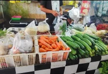 Tips Menyimpan Sayuran saat Perjalanan Sungai