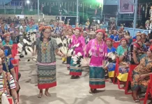 Kebijakan Efisiensi Anggaran Bukan Kendala Pengembangan Budaya di Mahulu