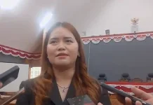 Kebijakan Efisiensi Anggaran Tekan Ruang Fiskal Mahulu Tahun 2027