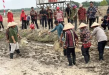 Sawah Cetak Didorong Jadi Aset Masa Depan dan Lumbung Pangan Kampung