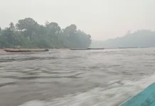 Dampak Kabut Asap di Mahulu Perlukan Penanganan Bersama