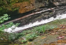 Potensi Wisata Alam Mahakam Ulu Masih Menarik Dikembangkan