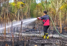 BPBD Kubar Sigap Atasi Kebakaran Lahan di Simpang Raya