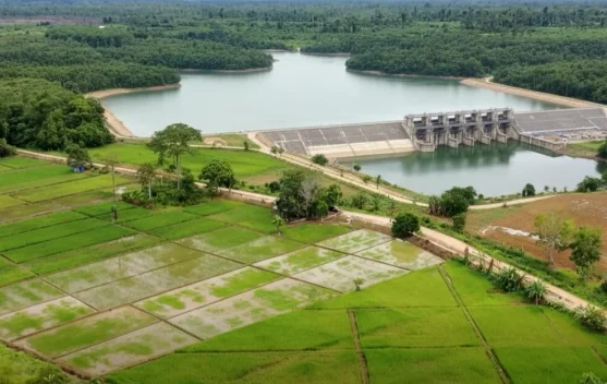 Bendungan Muara Asa: Solusi Strategis Capai Swasembada Beras di Kutai Barat