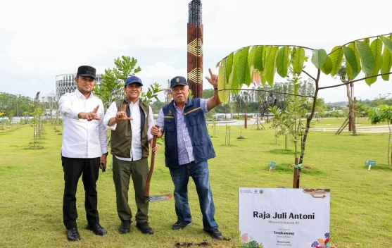Wujudkan Kota Rimba, Kemenhut Pastikan Dukungan Penuh Penghijauan di IKN