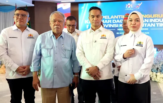 Kadin Lirik Investasi Energi Terbarukan di IKN