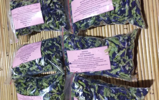 Bunga Telang dari Pekarangan Jadi Sumber Penghasilan Tambahan