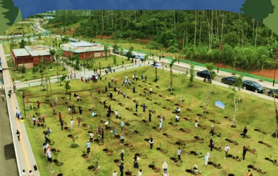 Wisata Sambil Menanam Pohon, Otorita Ajak Pengunjung Tinggalkan Jejak Hijau di IKN