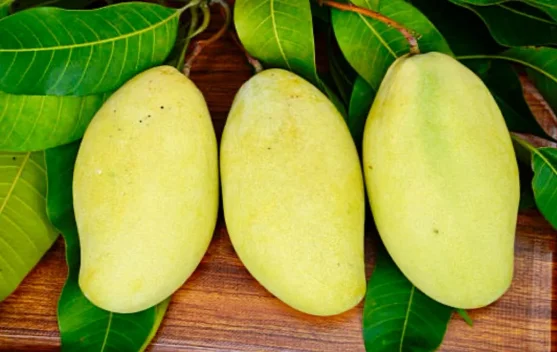 Mangga Punya Hari Perayaan Sendiri, Buah Tropis Ini Digemari di Seluruh Dunia
