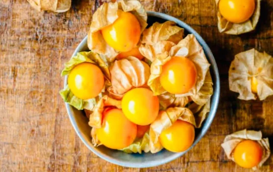 Buah Ciplukan Jadi Primadona Herbal, Ini Khasiat dan Cara Aman Mengonsumsinya