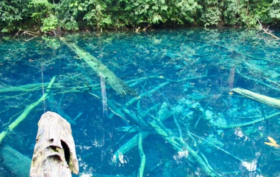Menguak Pesona Danau Sigending Berau