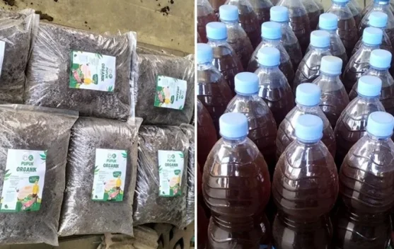 BUMP S3 Pasarkan Pupuk Organik Rp4.000 per Kilogram