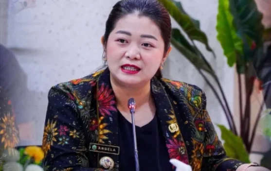 Formasi ASN Tenaga Kesehatan dan Pendidikan Terbatas di Mahulu