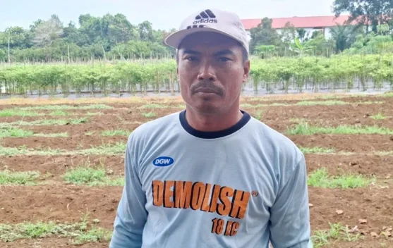 Petani Harapkan Dukungan Pemerintah Perkuat Ketahanan Pangan Daerah