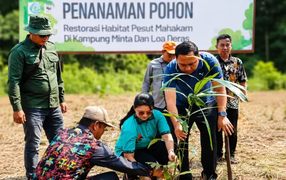 Bupati Kutai Barat Dorong Aren Jadi Sumber Ekonomi Baru Masyarakat Penyinggahan
