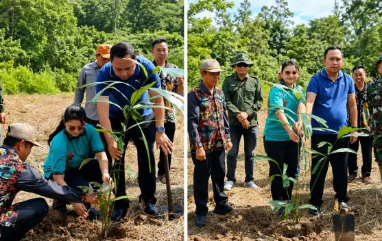 Kutai Barat Kembangkan Aren untuk Jaga Habitat Pesut Mahakam dan Kawasan Gambut