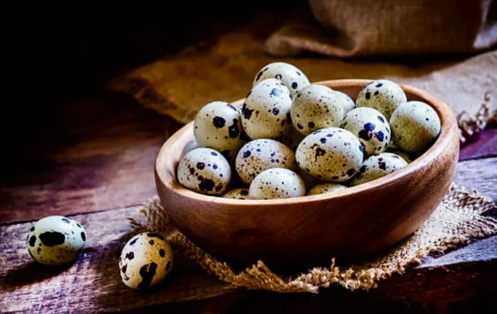 Penuh Gizi! Ini Kandungan Telur Puyuh dan Manfaatnya Bagi Tubuh