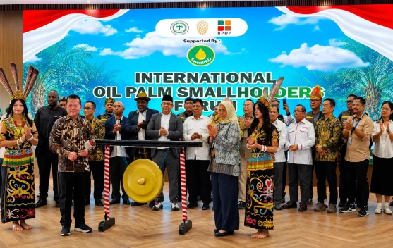 Pemprov Kaltim Dorong Koperasi Petani Sawit Dikelola Secara Profesional