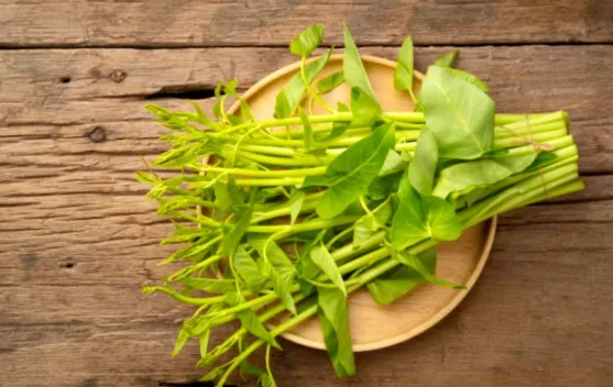 Manfaat Utama Sayur Kangkung yang Jadi Favorit Masyarakat Indonesia