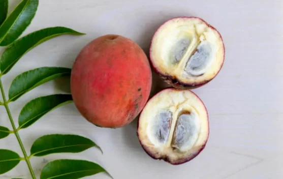 Manfaat Buah Mentega untuk Kesehatan Tubuh serta Tips Pintar Mengolah