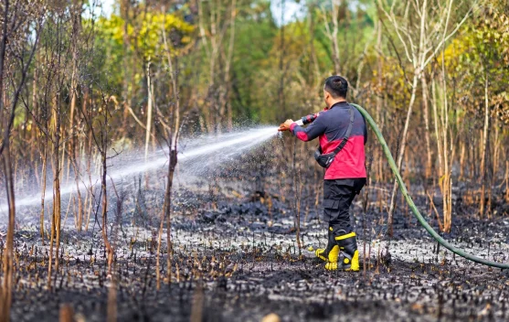 BPBD Kubar Sigap Atasi Kebakaran Lahan di Simpang Raya