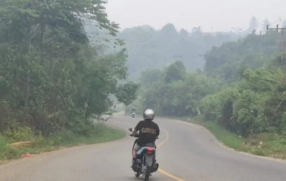 Kabut Asap Kembali Menebal di Kubar, Warga Keluhkan Jarak Pandang dan Mata Perih