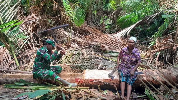 Babinsa Tokok Sagu Bentuk Kepedulian Ringankan Beban Warga