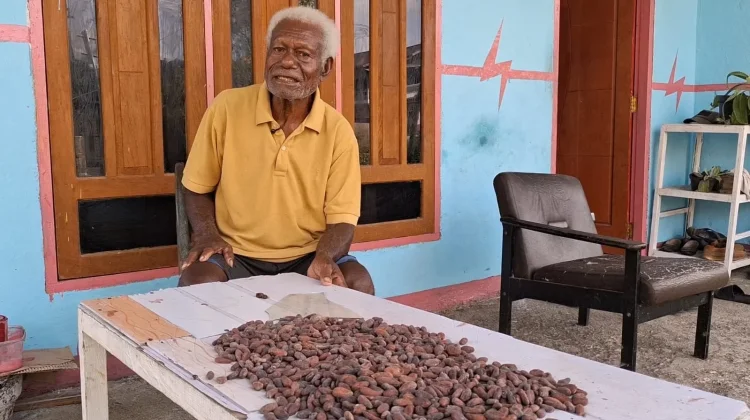 Petani Kakao  Harap Perhatian Pemda Yapen