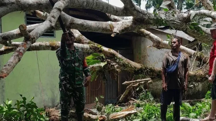 Babinsa  Bantu Warga Selamatkan Rumah dari Pohon Tumbang