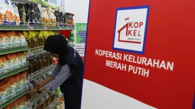 Menko Bidang Pangan Jamin Rekrutmen Manajer KDKMP dan KNMP Adil tanpa Biaya