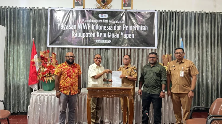 Pemda Yapen Bersama WWF Jalin Kerjasama Melestarikan Ekosistem Lingkungan Hidup