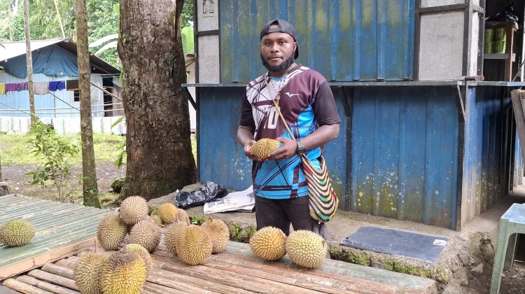 Musim Durian Bawa Keuntungan bagi Pemilik Wisata Manainumi