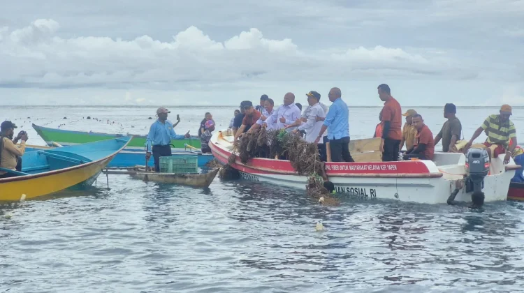 Kepala DKP Papua Apresiasi Ketekunan Petani Rumput Laut Sarwandori