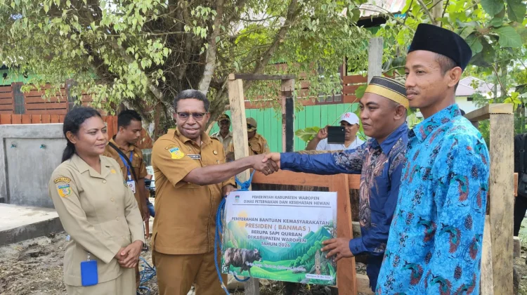 Pemerintah Waropen Serahkan Hewan Kurban untuk Masyarakat dan Pengurus Masjid