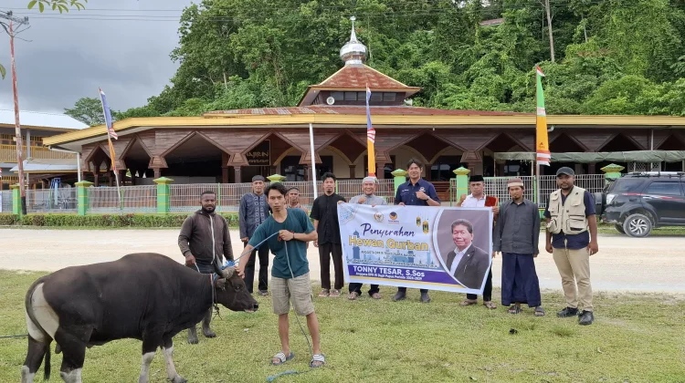 Anggota DPR RI Tonny Tesar Serahkan Bantuan Hewan Kurban untuk Masjid Al Muhajirin