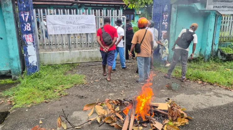 Aksi Bakar Ban ASN Pertanian Yapen Soroti Kinerja Plt. Kadis