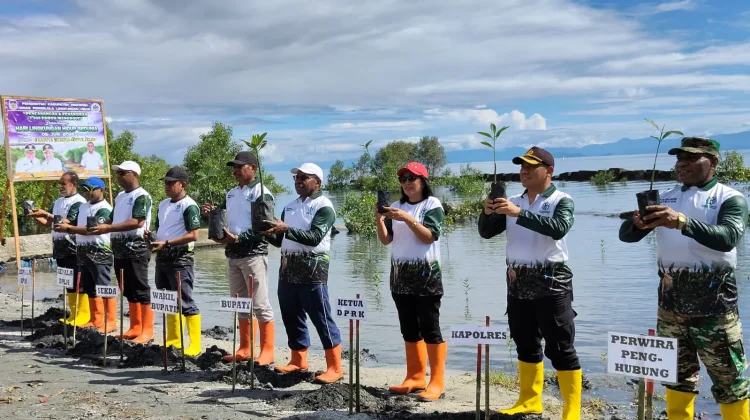 Peringati Hari Lingkungan Hidup, Pemerintah Waropen Tanam Tiga Ribu Mangrove