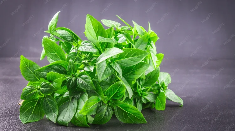 Menggali Karakter Rasa Masakan Melalui Pemanfaatan Daun Aromatik