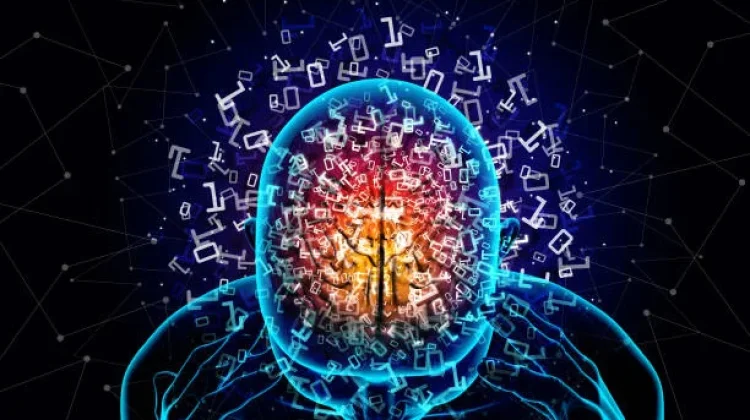 Menguak Kapasitas Memori Otak Manusia yang Setara Jutaan Gigabyte