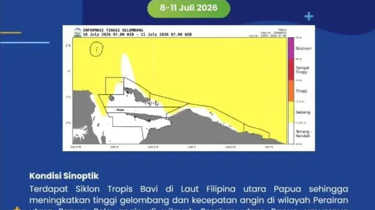 BMKG : Tinggi Gelombang Wilayah Papua 1,25-2,5 m  Periode 8-11 Juli 2026
