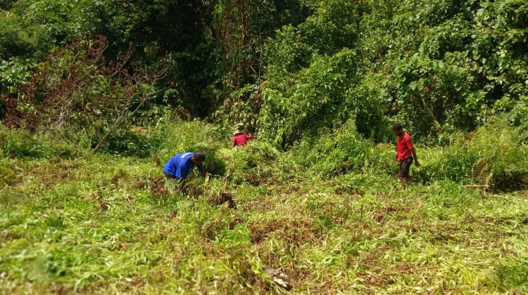 Sambut HUT RI, Warga Kampung Aibondeni Kerja Bakti Bersama