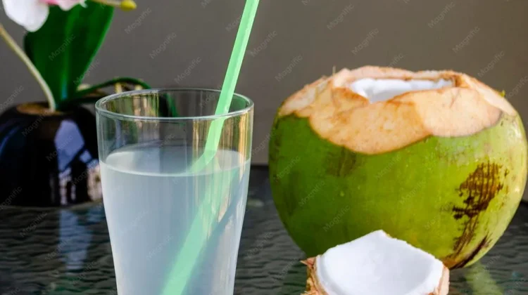 Fakta Medis Manfaat Air Kelapa dan Racun