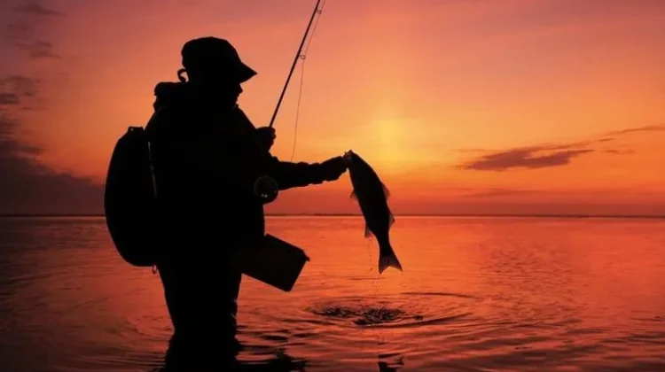 Mengenal 15 Istilah dalam Memancing yang Wajib Kamu Ketahui