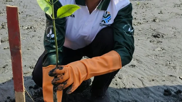 GOW Waropen Tanam Pohon untuk Generasi Anak Cucu