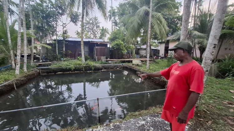 Petani Budidaya Ikan Nila Gift dan Ikan Mas Harapkan Perhatian Dinas Terkait